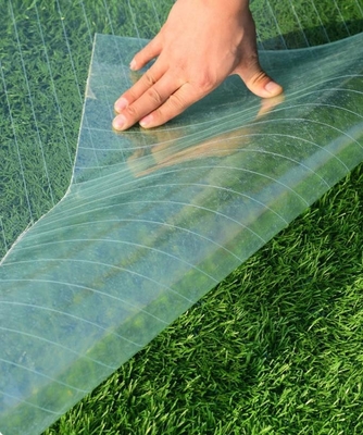 Translucent FRP fiberglass Roof/Roofing sheet for skylight