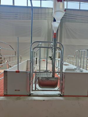 Fire Resistant PVC hollow Sheet and pvc roof sheet for pig farm poultry equipment